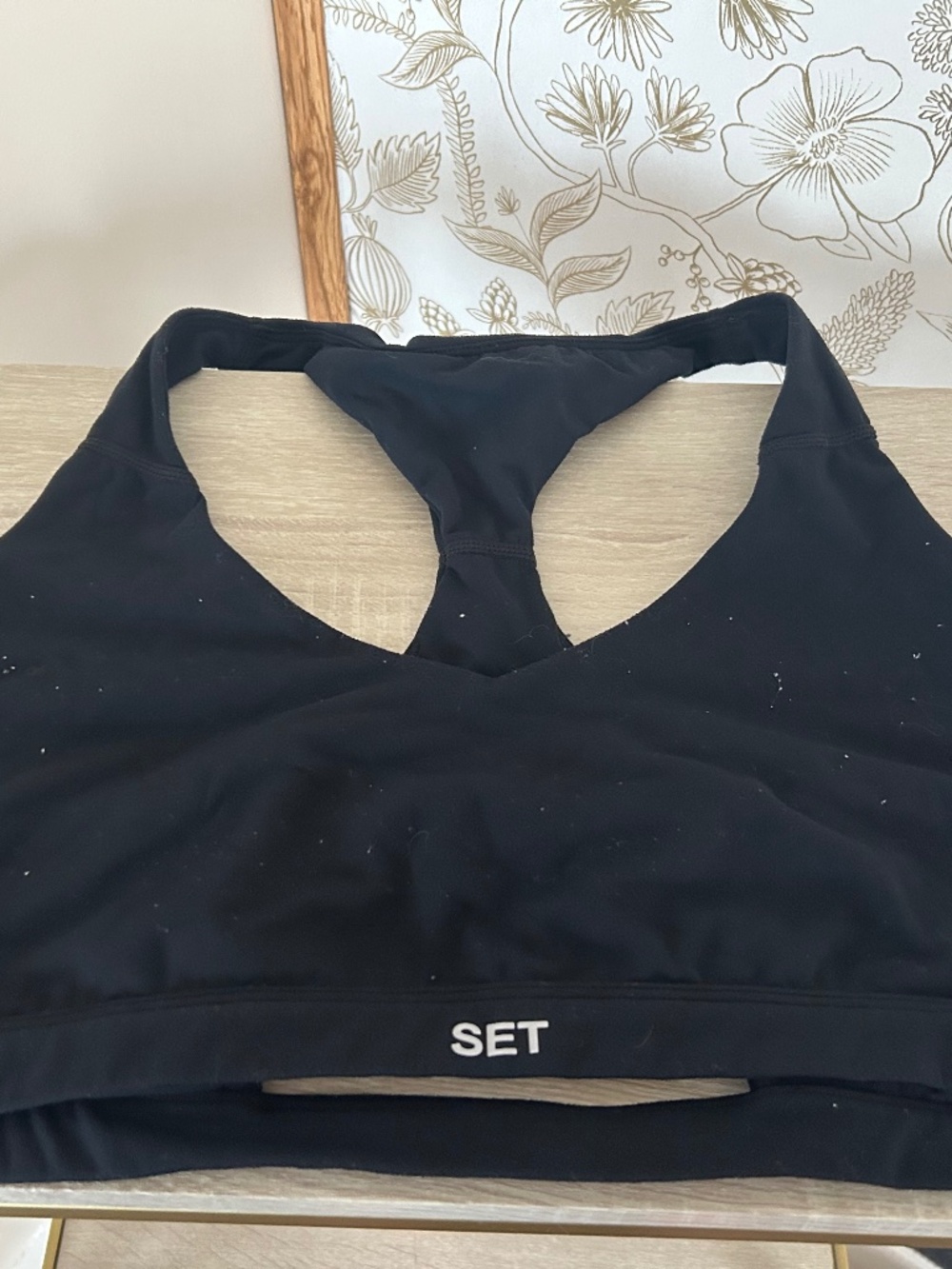 SET Active Bra